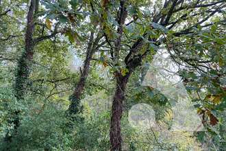  divers entrecasteaux 83570