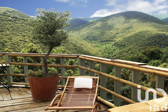  divers felluns 66730