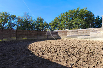  divers fronton 31620