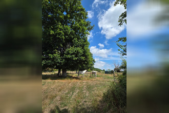  divers hauterive 61250