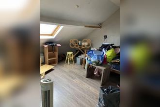  divers houplines 59116