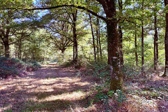  divers la-ferte-st-aubin 45240