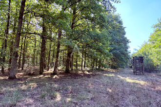  divers la-ferte-st-aubin 45240