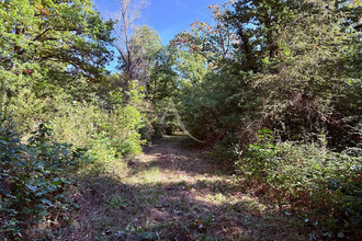  divers la-ferte-st-aubin 45240