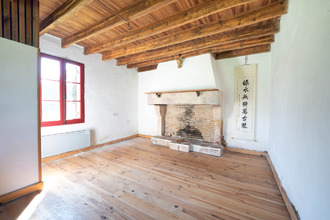  divers louchats 33125