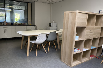  divers marguerittes 30320