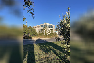  divers marseille 13011