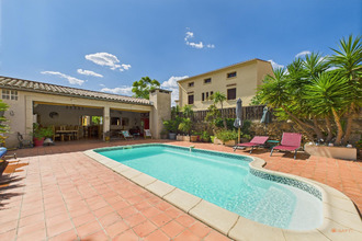  divers neffies 34320