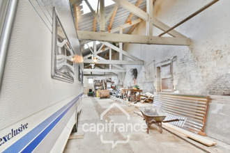  divers nuaille-d-aunis 17540