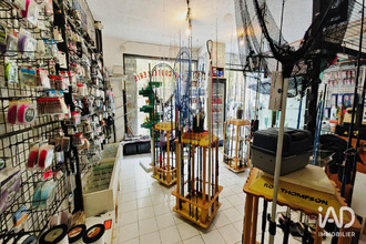  divers port-vendres 66660