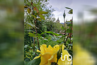  divers puivert 11230