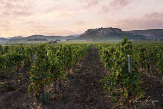  divers roquessels 34320