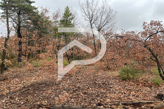  divers roumoules 04500