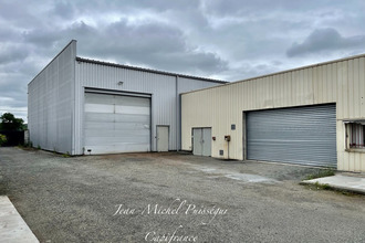  divers st-gaudens 31800