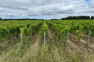  divers st-laurent-medoc 33112