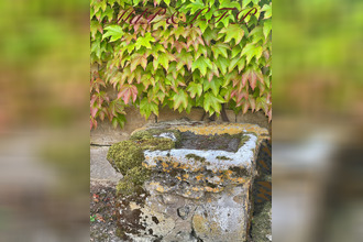  divers st-magne-de-castillon 33350