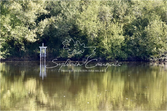  divers st-martin-d-abbat 45110