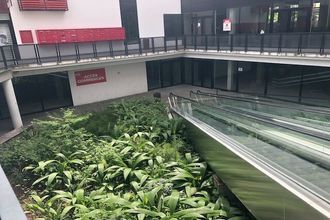  divers st-pierre 97410