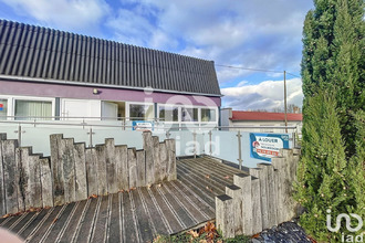  divers steinbg 67790