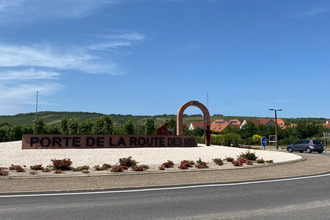  divers strasbourg 67000