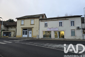  immeuble limons 63290