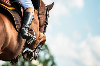  immeuble marseille 13001