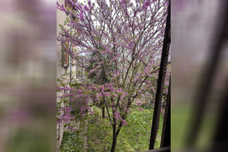  immeuble rabastens 81800