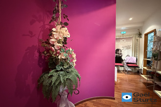  immeuble schiltigheim 67300