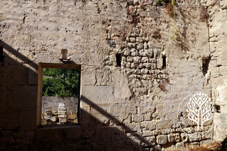  immeuble st-savinien 17350