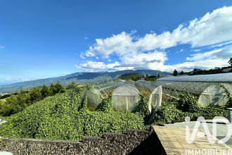  immeuble tampon 97418