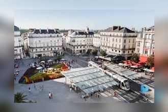  localcommercial angers 49000