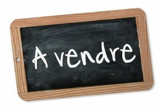  localcommercial angers 49000