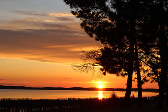  localcommercial ares 33740