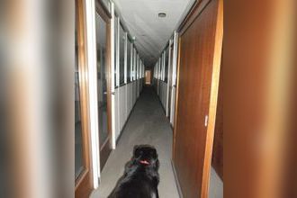  localcommercial aucamville 31140