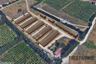  localcommercial borgo 20290