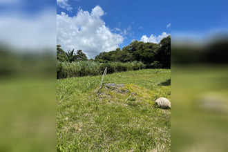  localcommercial bras-panon 97412