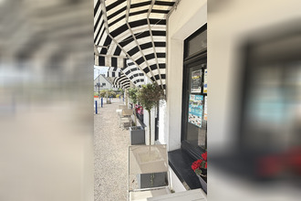  localcommercial camoel 56130