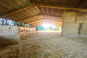  localcommercial carpentras 84200