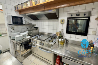  localcommercial catus 46150