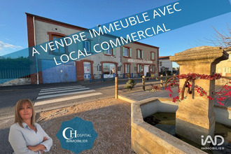  localcommercial chambeon 42110