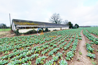  localcommercial champgeneteux 53160