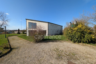  localcommercial chandai 61300