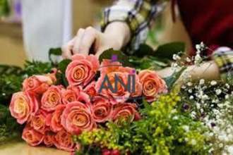  localcommercial dieppe 76200