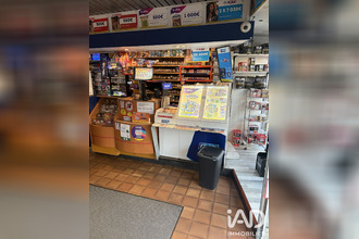  localcommercial dizy 51530