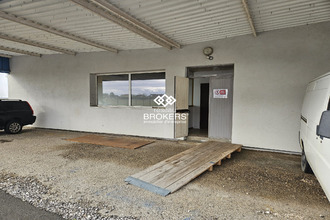  localcommercial dole 39100