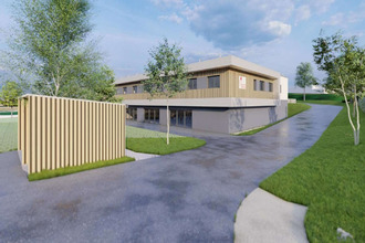  localcommercial dole 39100