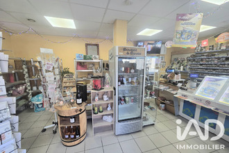  localcommercial felines 07340