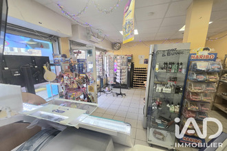  localcommercial felines 07340
