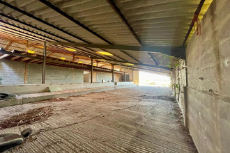  localcommercial fenols 81600