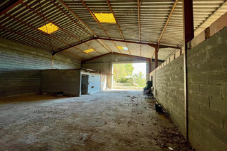  localcommercial fenols 81600